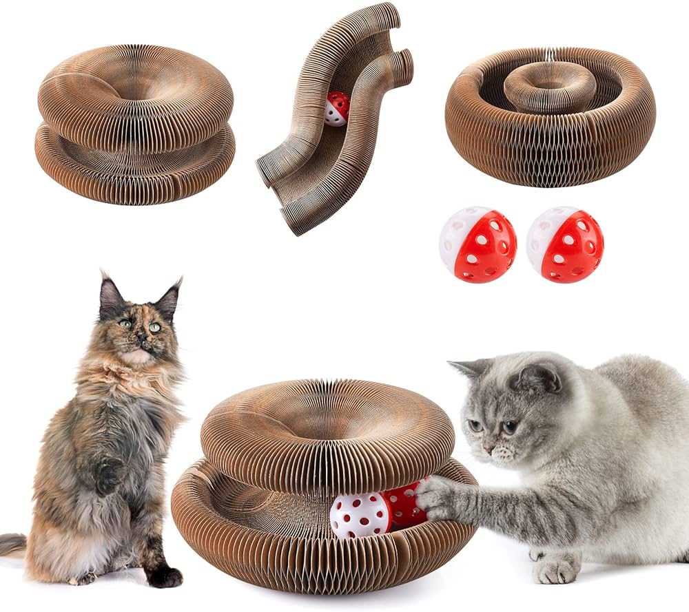 Entdecke das Magic Organ Kratzbrett