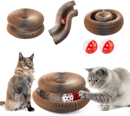 Entdecke das Magic Organ Kratzbrett