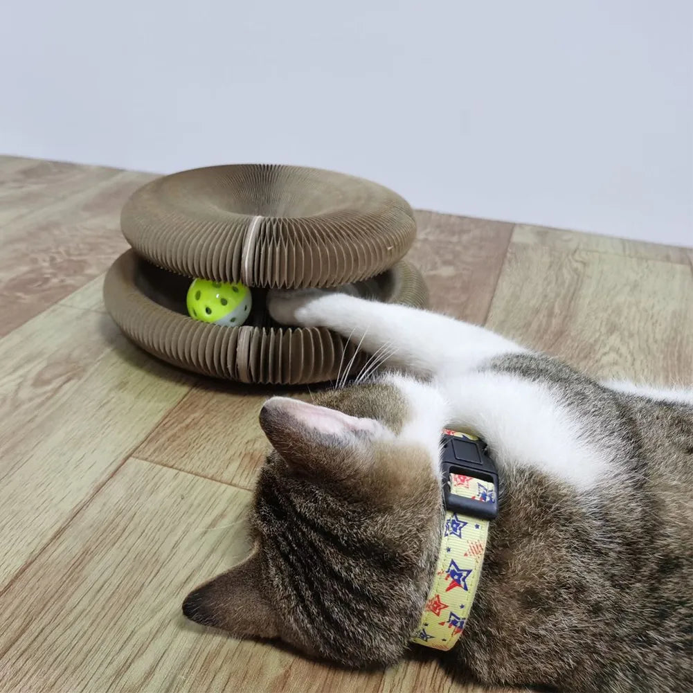 Entdecke das Magic Organ Kratzbrett