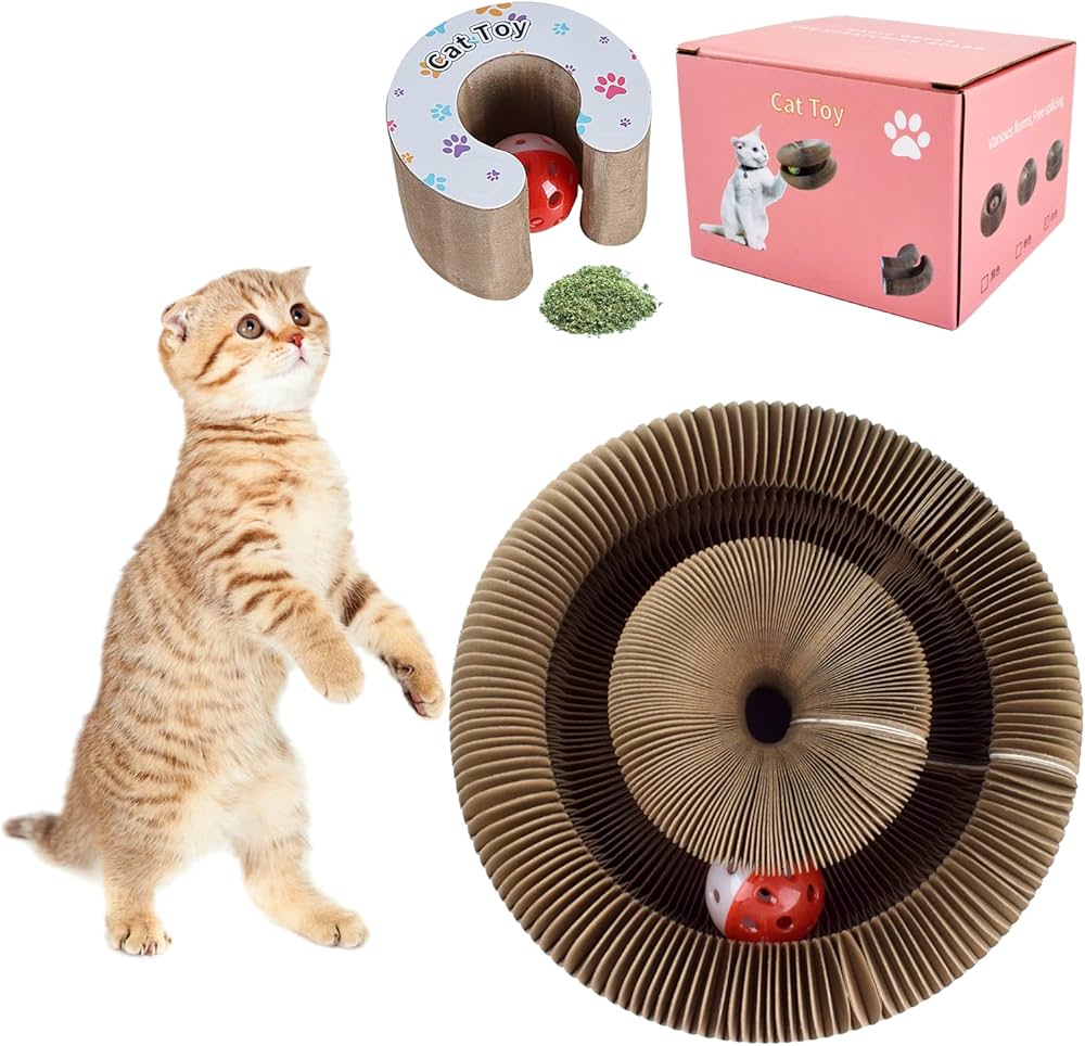 Entdecke das Magic Organ Kratzbrett