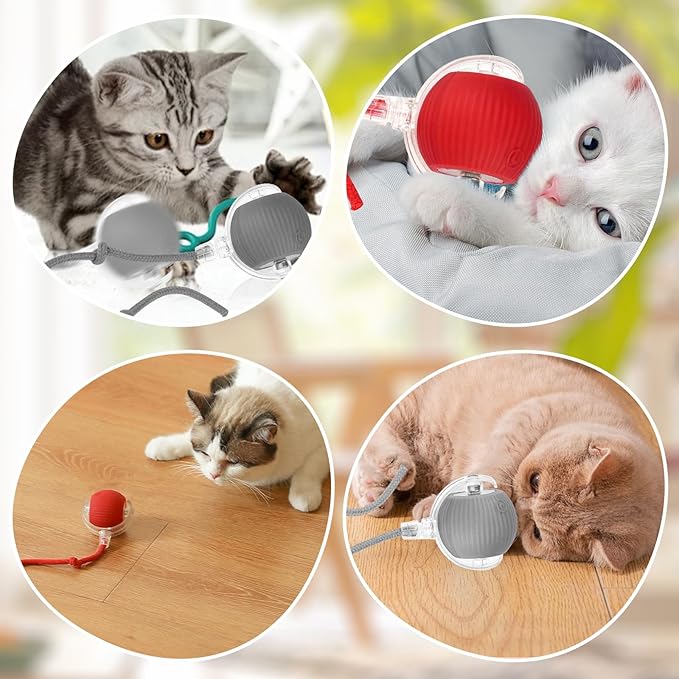 Interaktive Katzenspielbälle