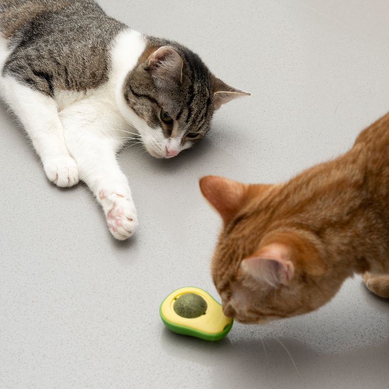 ✨ Spaß, Entspannung und Wohlbefinden in einer einzigen Kugel! ✨