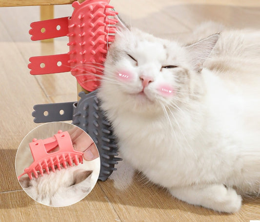 🐾 Premium Kratz- & Pflege-Set für Katzen – Die Komplettlösung für deine Katze und dein Zuhause