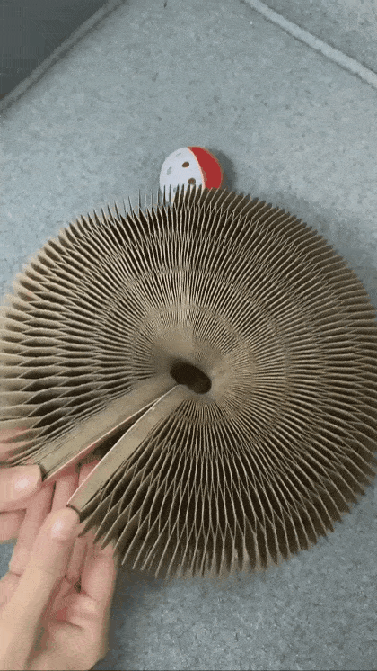 Entdecke das Magic Organ Kratzbrett